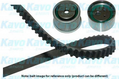 KAVO PARTS dkt5536 -  Комплект ремня ГРМ